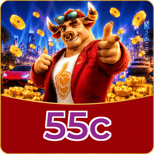 Servidor Brasil 55c
